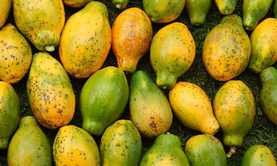 Carica