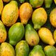 Carica