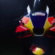 Red Bull Sponsori Honda