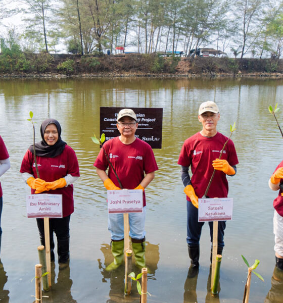 Suzuki tanam mangrove