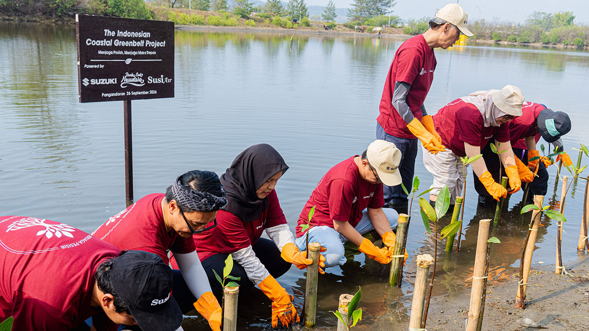 Suzuki tanam mangrove